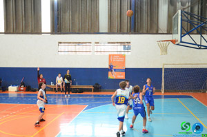 DSC_6463.jpg