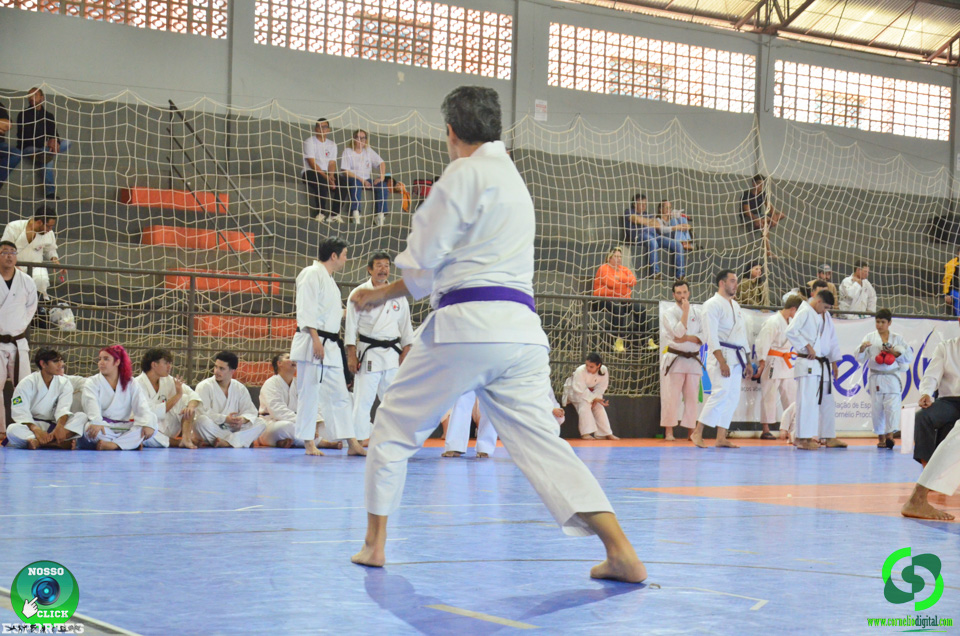 DSC_2769.jpg