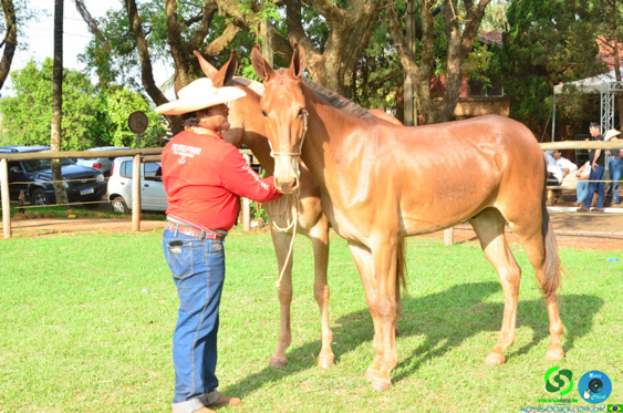 Filename=DSC_8426.jpg
Filesize=404KiB
Dimensions=960x636
Date added=Oct 26, 2025 DSC_8426.jpg