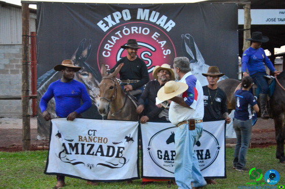 Filename=DSC_8824.jpg
Filesize=280KiB
Dimensions=960x636
Date added=Oct 26, 2025 DSC_8824.jpg