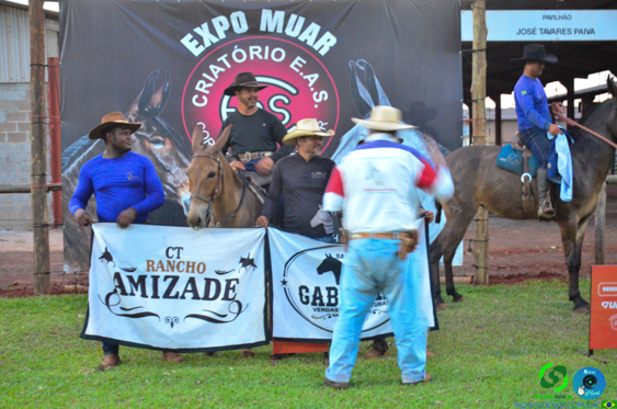 Filename=DSC_8826.jpg
Filesize=299KiB
Dimensions=960x636
Date added=Oct 26, 2025 DSC_8826.jpg