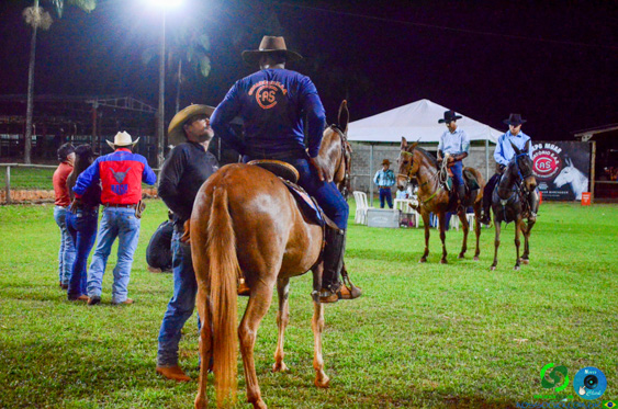 Filename=DSC_8890.jpg
Filesize=413KiB
Dimensions=960x636
Date added=Oct 26, 2025 DSC_8890.jpg