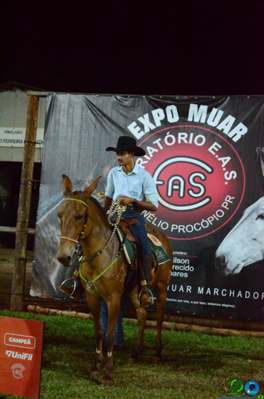 Filename=DSC_8894.jpg
Filesize=255KiB
Dimensions=636x960
Date added=Oct 26, 2025 DSC_8894.jpg