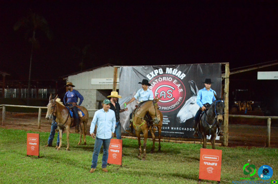 Filename=DSC_8896.jpg
Filesize=253KiB
Dimensions=960x636
Date added=Oct 26, 2025 DSC_8896.jpg