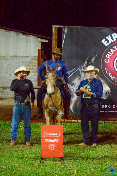 Filename=DSC_8897.jpg
Filesize=369KiB
Dimensions=636x960
Date added=Oct 26, 2025 DSC_8897.jpg