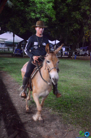 Filename=DSC_8938.jpg
Filesize=287KiB
Dimensions=636x960
Date added=Oct 26, 2025 DSC_8938.jpg