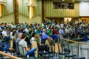 22oSeminarioEstadualdeAquicultura-296.jpg