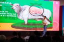 SmartAgro-CarneCultivada-334.jpg