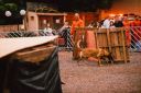 ExpoPet-1aProvadecaesdebuscaeresgate-641.jpg