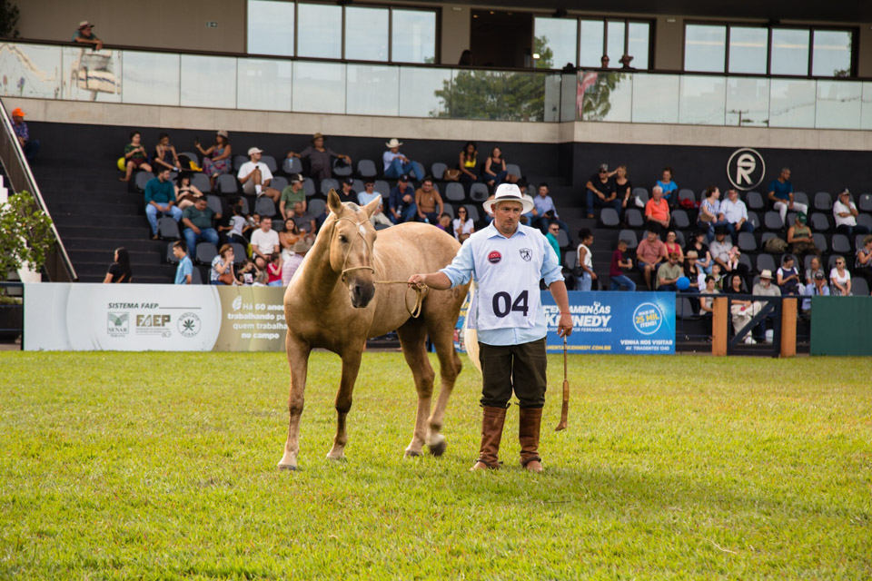 CavaloCampeiro-564.jpg