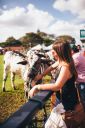 Bem-estaranimal-694.jpg
