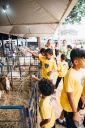 Bem-estaranimal-697.jpg