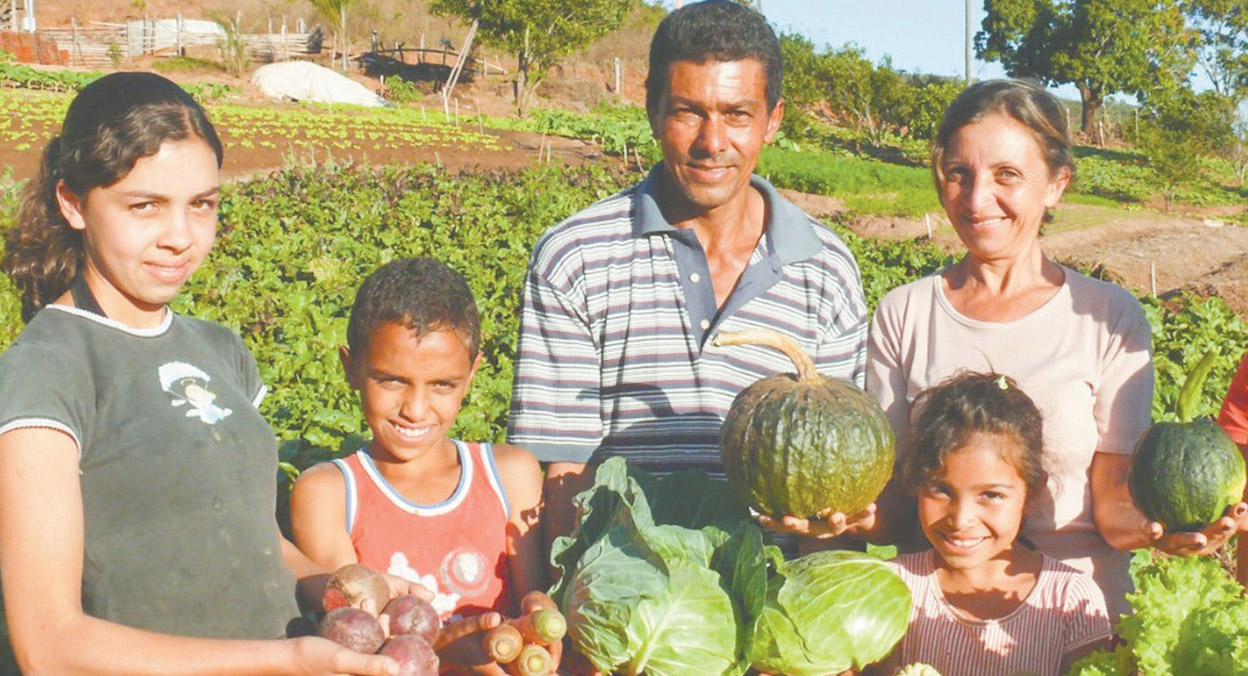 Ataques do governo Ã  agricultura familiar ajuda com alta dos alimentos