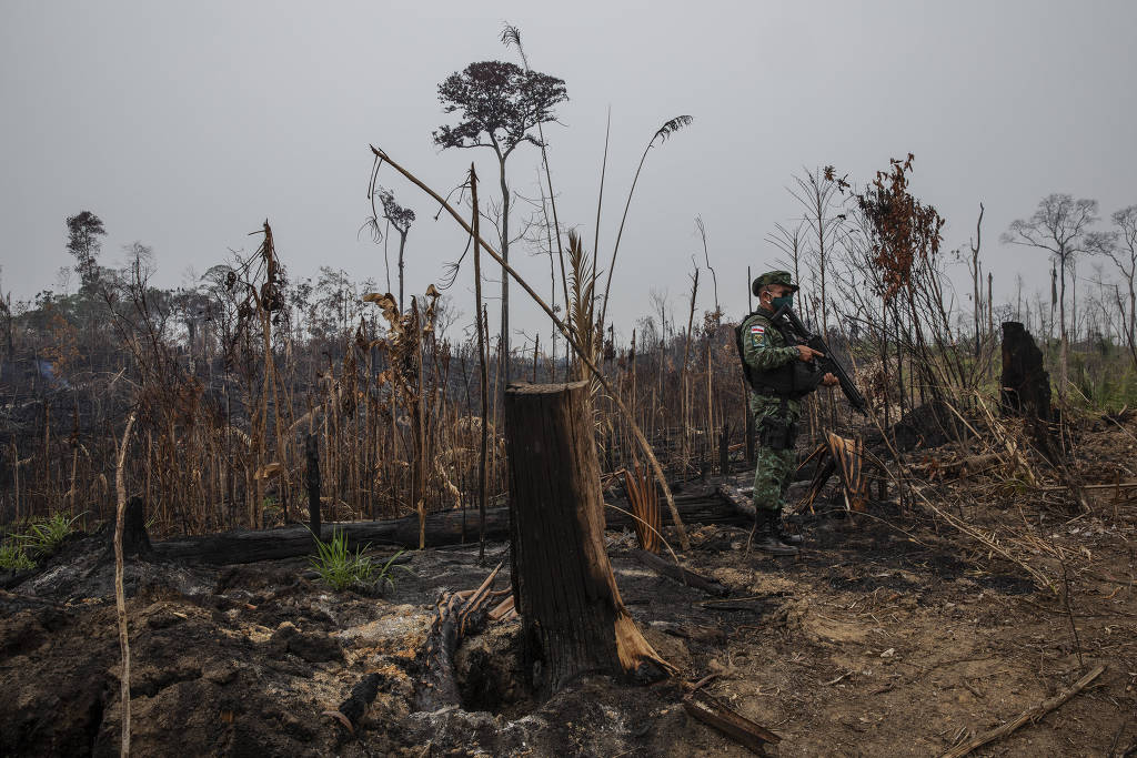 Desmatamento na Amazônia explode em agosto e alcança 2ª maior marca já registrada
