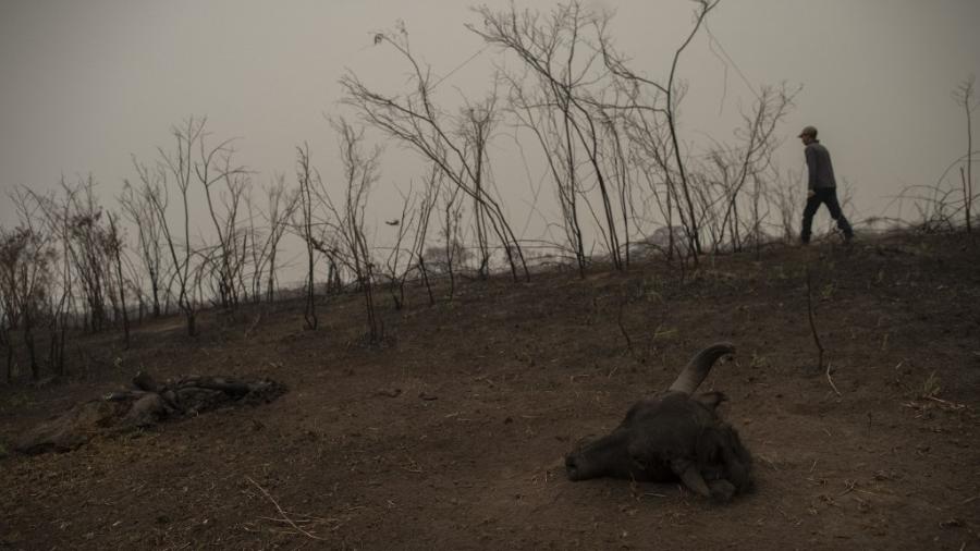 PF jÃ¡ tem provas para indiciar fazendeiros de MS por queimadas no Pantanal