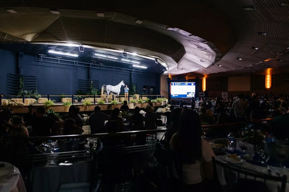 Primeiro leilão de cavalo de salto reúne mais de 300 pessoas na ExpoLondrina