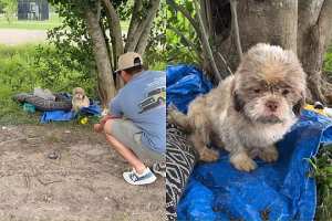 imagens/thumbs/06-06-2025_Cachorrinho_olhar_triste.jpg