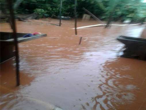 imagens/thumbs/10-03-2017_Cambara_04.jpg