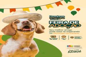 imagens/thumbs/15-06-2025_SRP_Domingo_No_Parque_Feira_de_Adocao.jpg