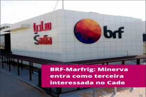 imagens/thumbs/16-06-2025_BRF.jpg