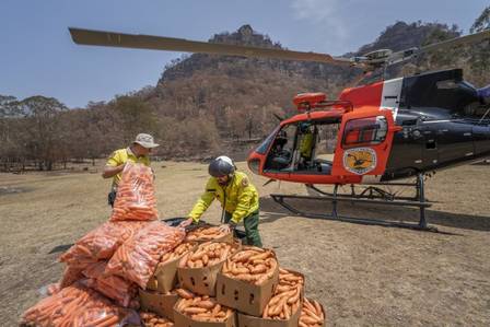 Vegetais são levados a helicóptero assistencial na Austrália